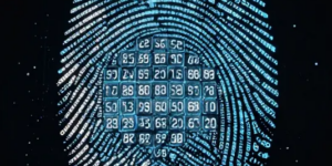 DQT finger printing