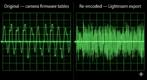 Signal waves showing left and right - same wave signal, looking a bit different