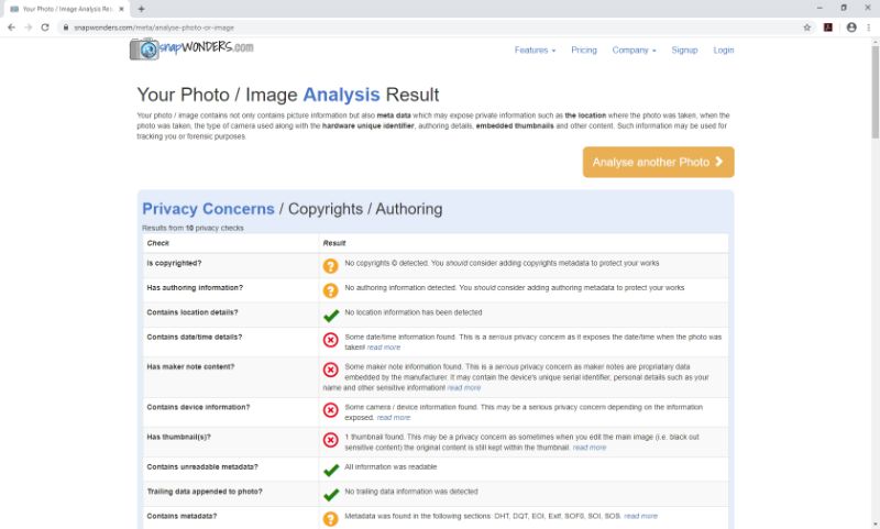 The analysis summary, listing privacy, copyright and authoring findings
