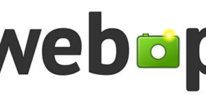 The WebP image format logo
