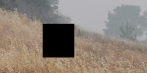 A bushfire-smoke landscape photo with areas blacked out to hide detail