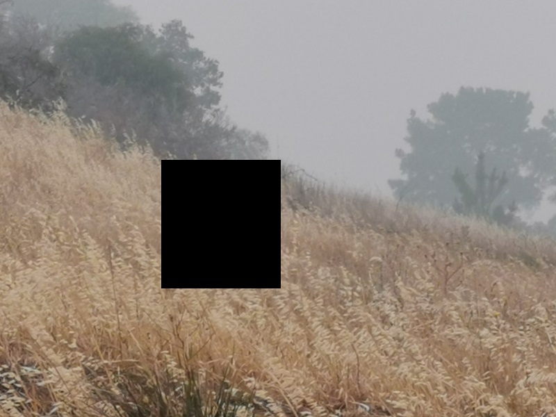 A bushfire-smoke landscape photo with areas blacked out to hide detail