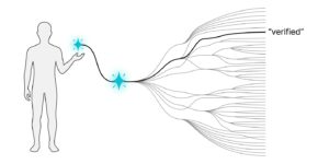 Illustration of a hand showing branching lines stemming out with a spark on one main branch line
