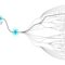 Illustration of a hand showing branching lines stemming out with a spark on one main branch line